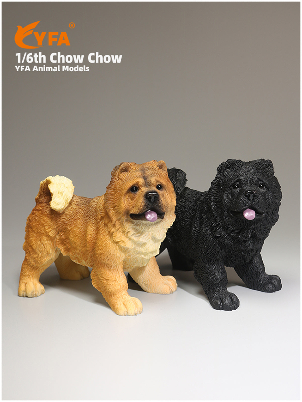 JJM 1/6 Chow Chow Dog Model