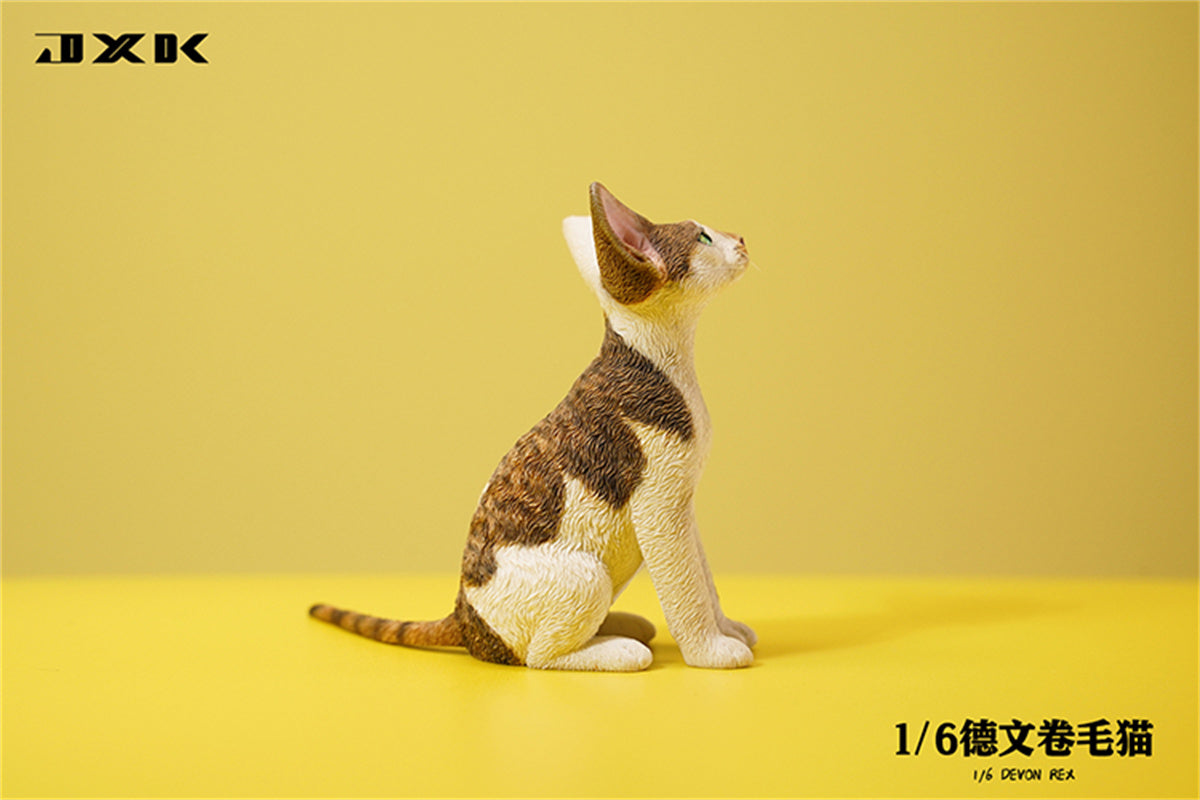 JXK 1/6 Devon Rex Model