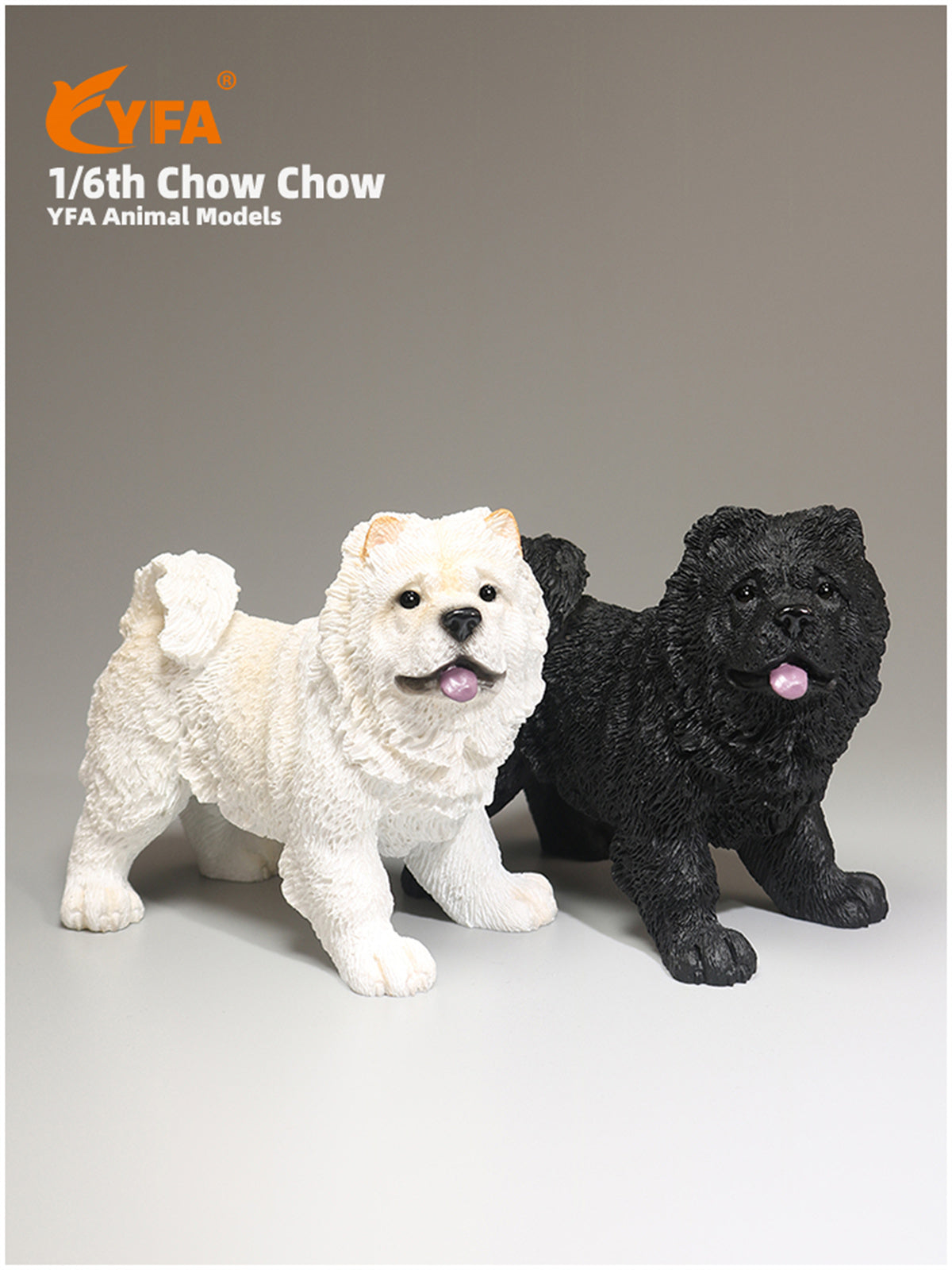 JJM 1/6 Chow Chow Dog Model
