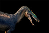 PNSO Suchomimus Thabo Model