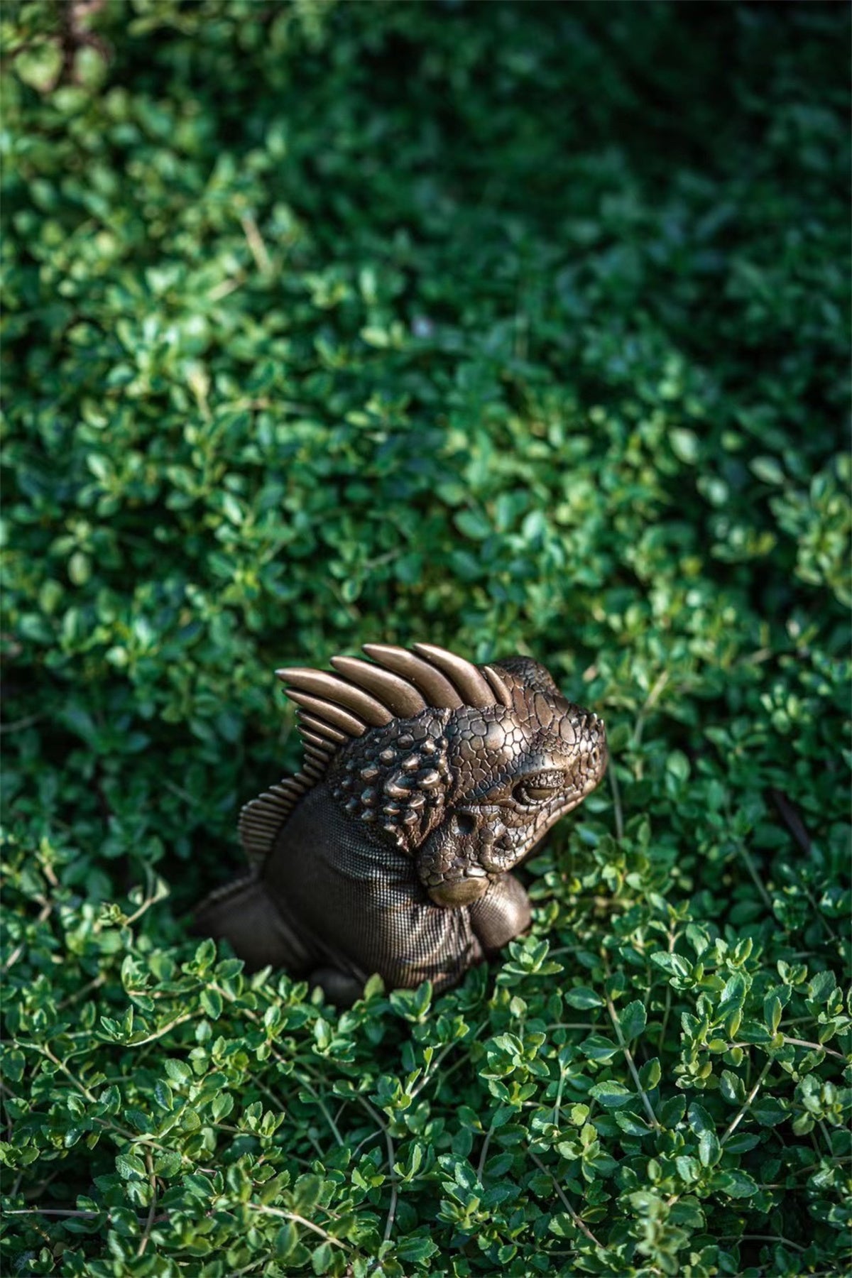 Common Green Iguana Limited Brass Model