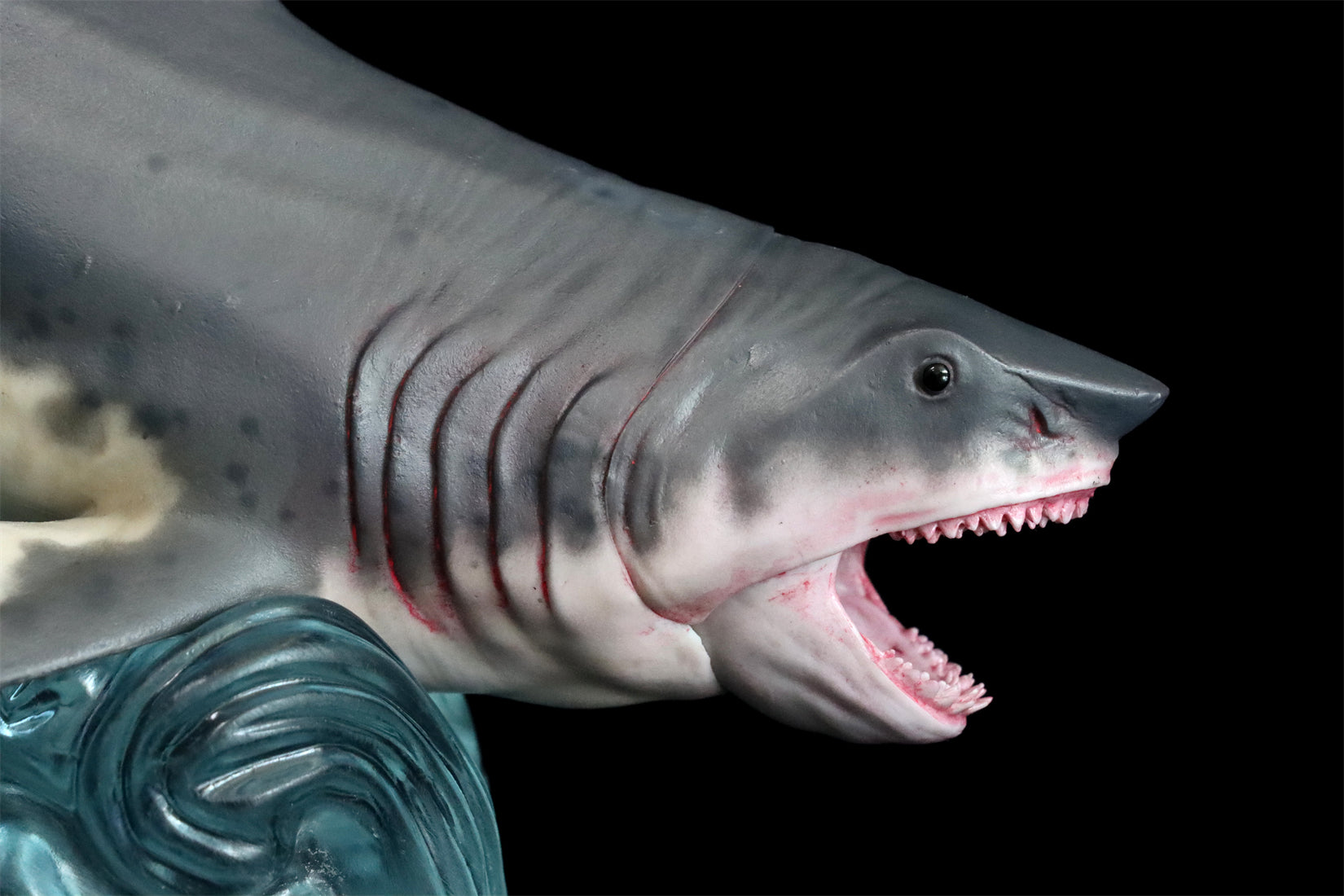 HAOLONGGOOD Megalodon Model