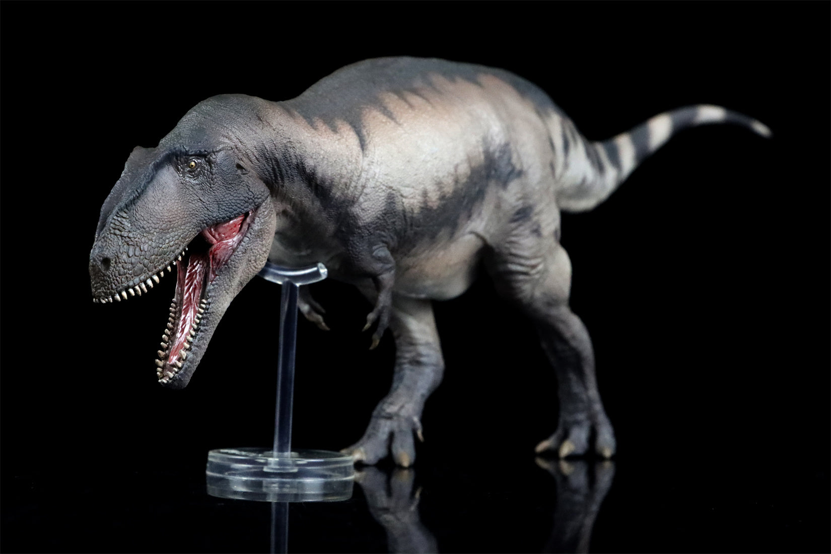 PNSO 68 Mapusaurus Mila Model