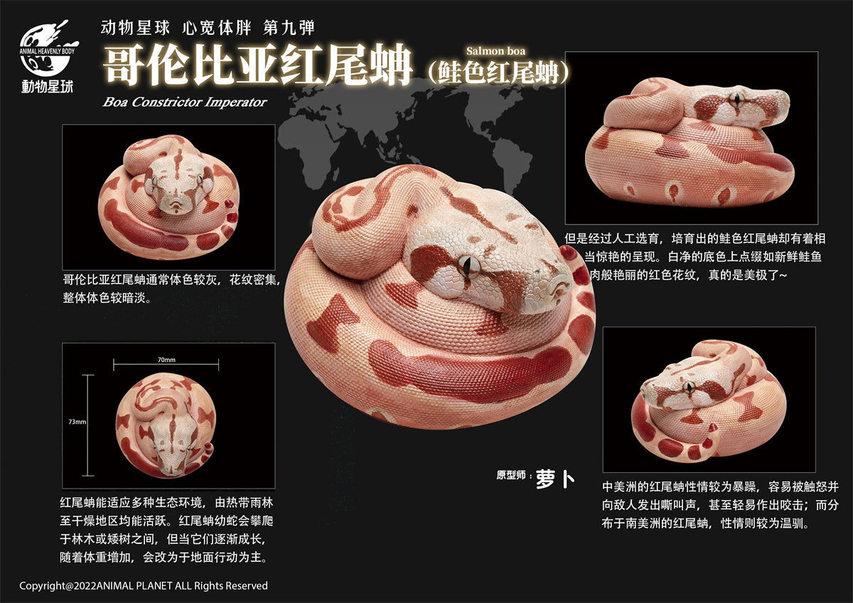 Animal Planet 09 Snake 2.0 Blind Box Model