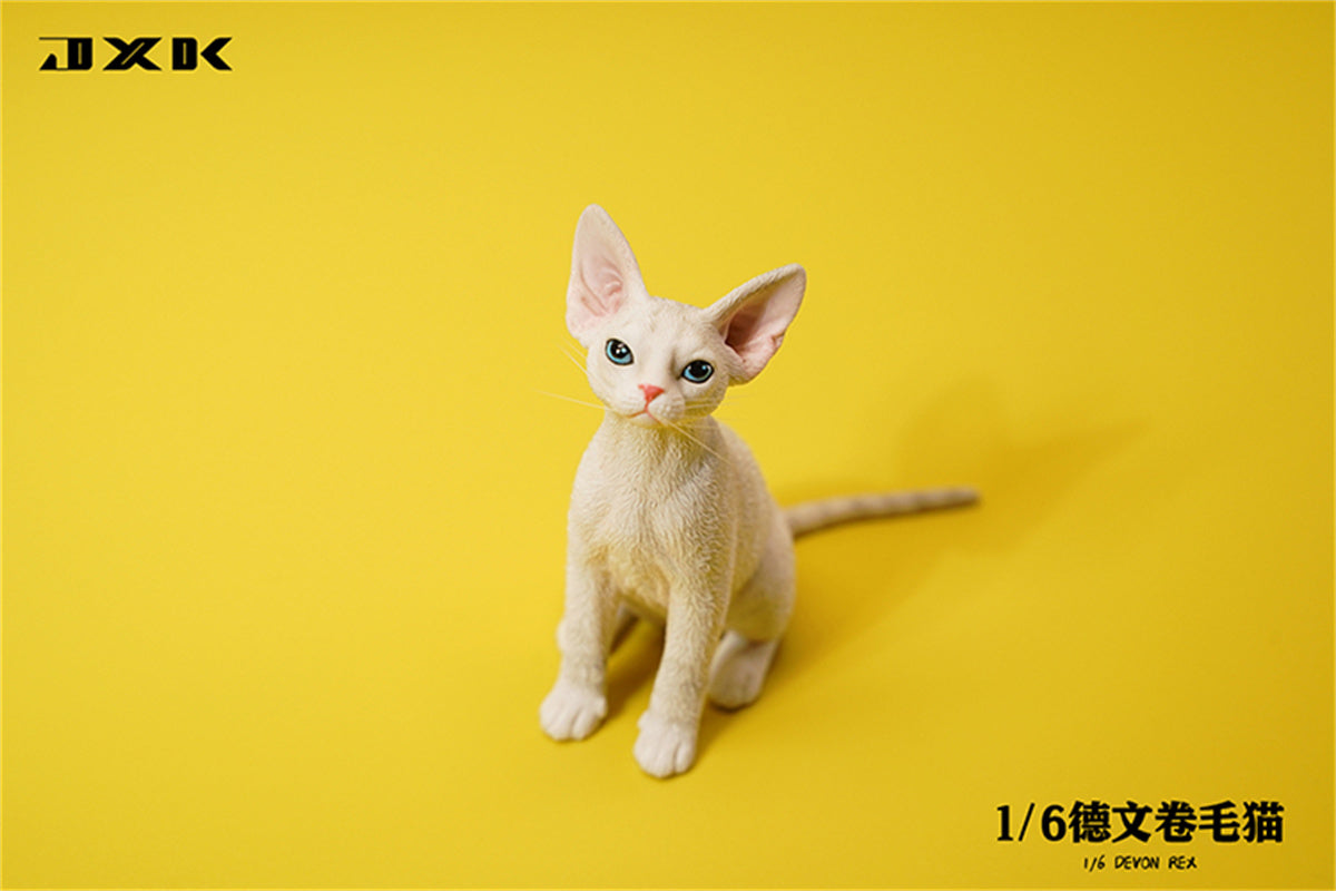 JXK 1/6 Devon Rex Model