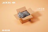 JXK The Cat In The Delivery Box Model