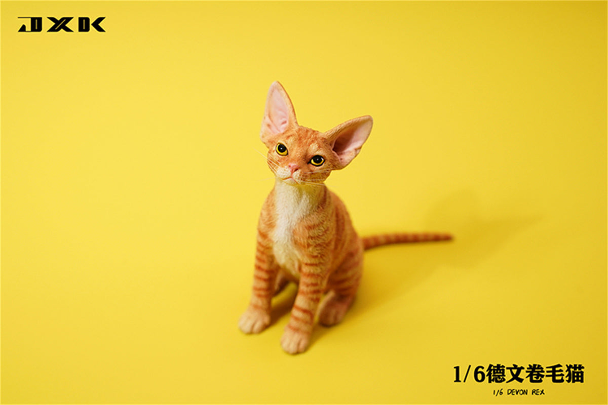 JXK 1/6 Devon Rex Model