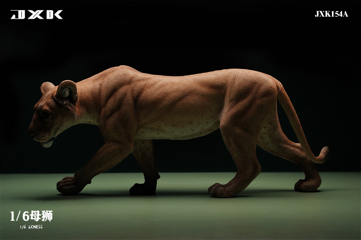 JXK 1/6 Lioness Model – Lana Time Shop