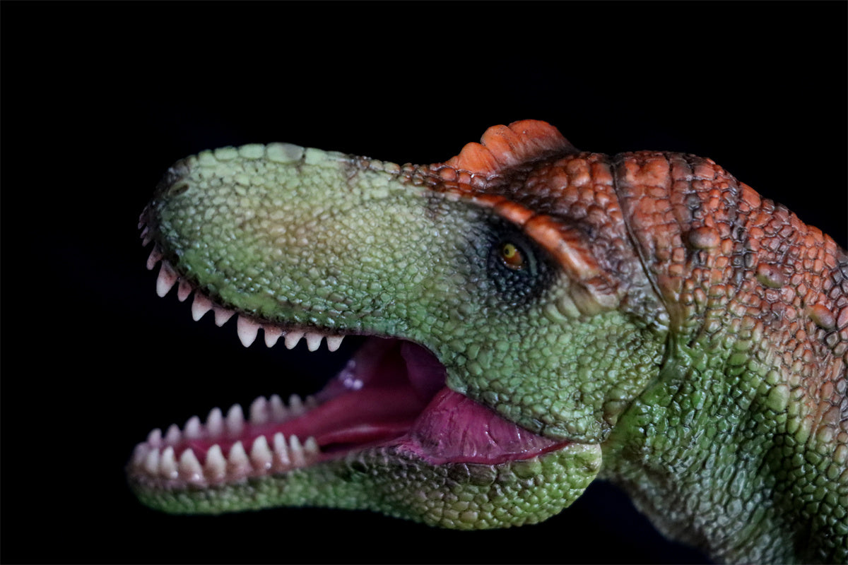 1/35 T-Rex VS Therizinosaurus Model