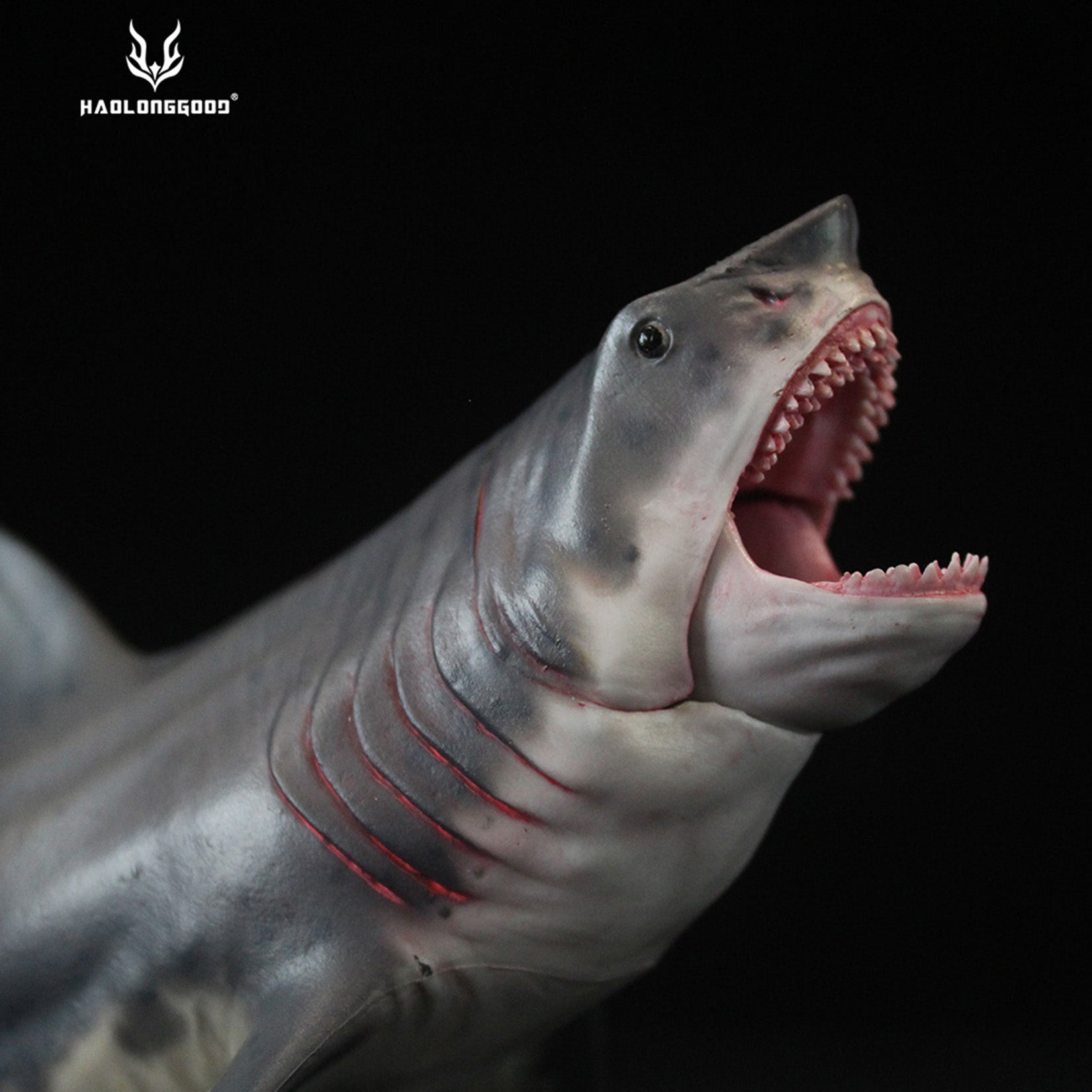 HAOLONGGOOD Megalodon Model
