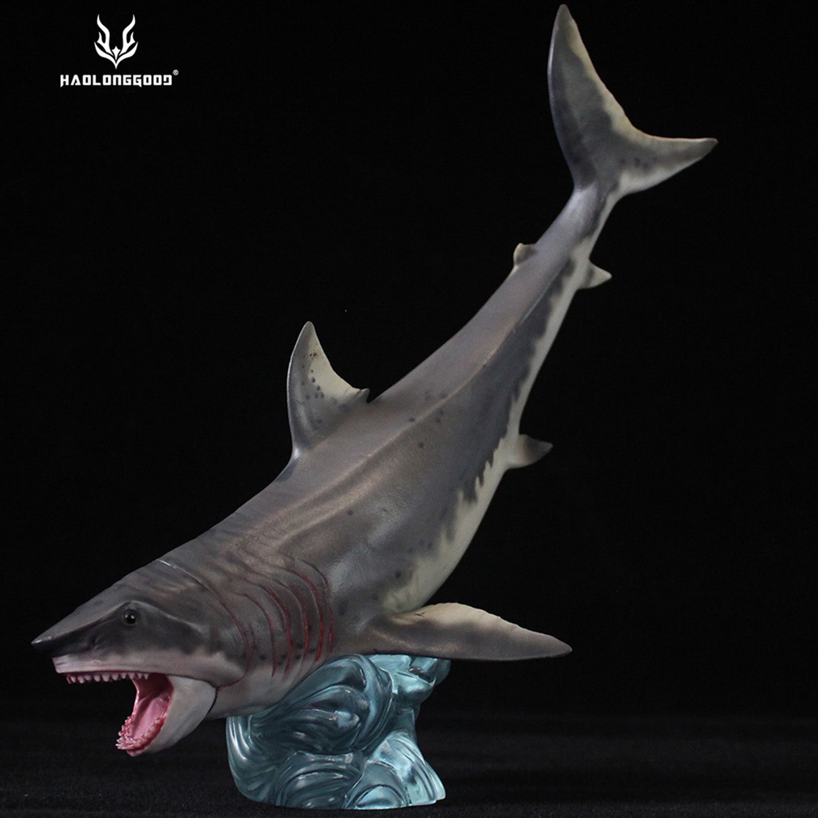 HAOLONGGOOD Megalodon Model