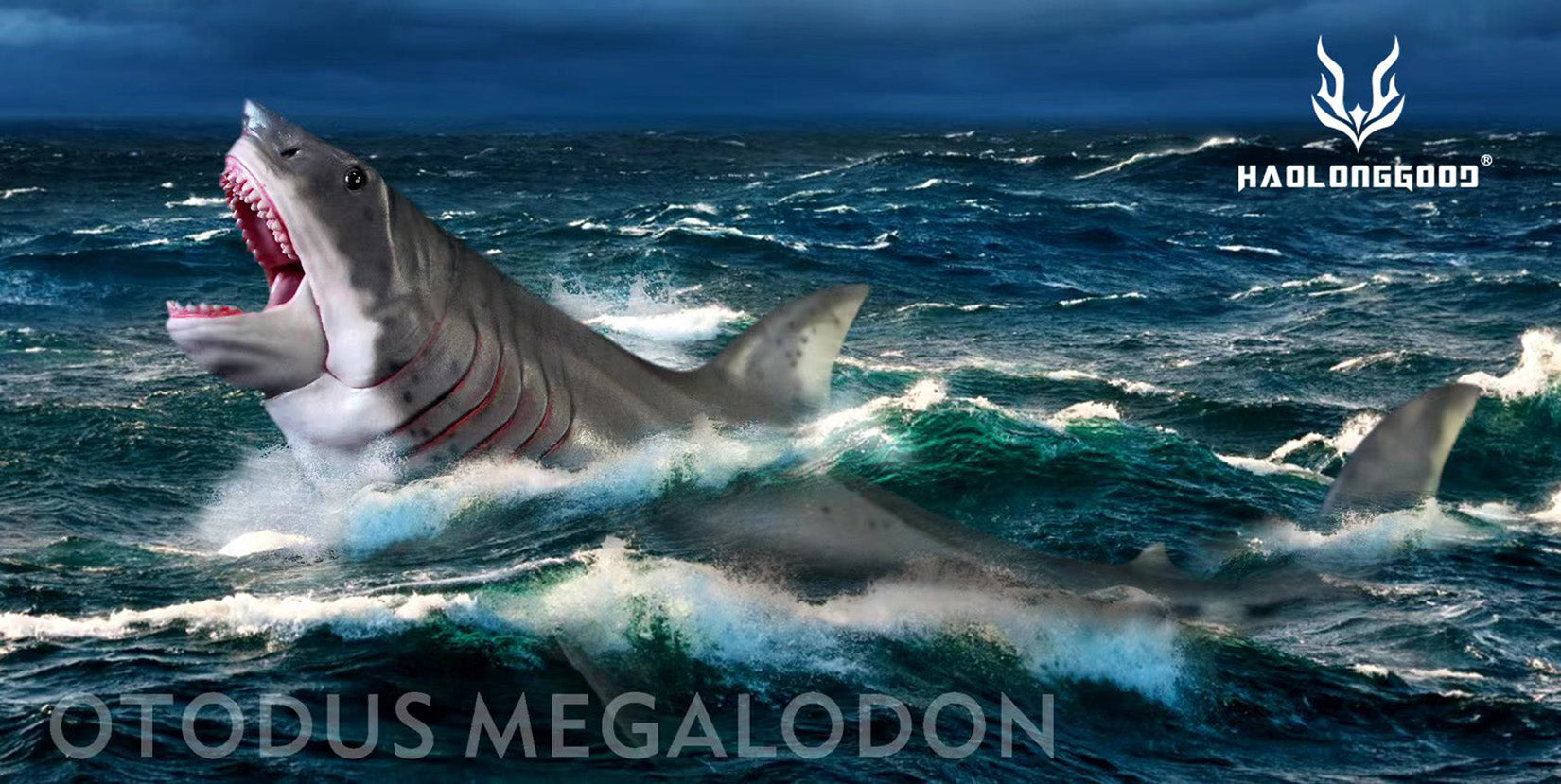 HAOLONGGOOD Megalodon Model