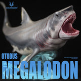 HAOLONGGOOD Megalodon Model