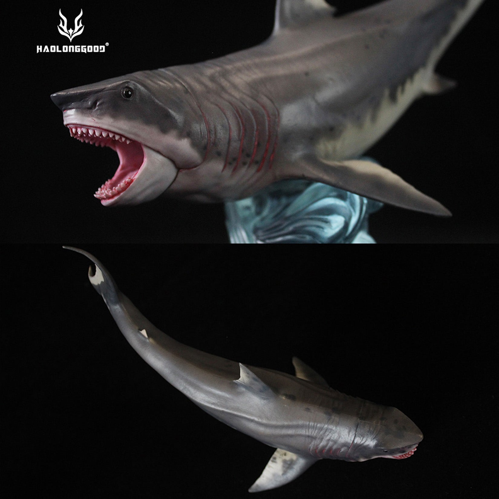 HAOLONGGOOD Megalodon Model