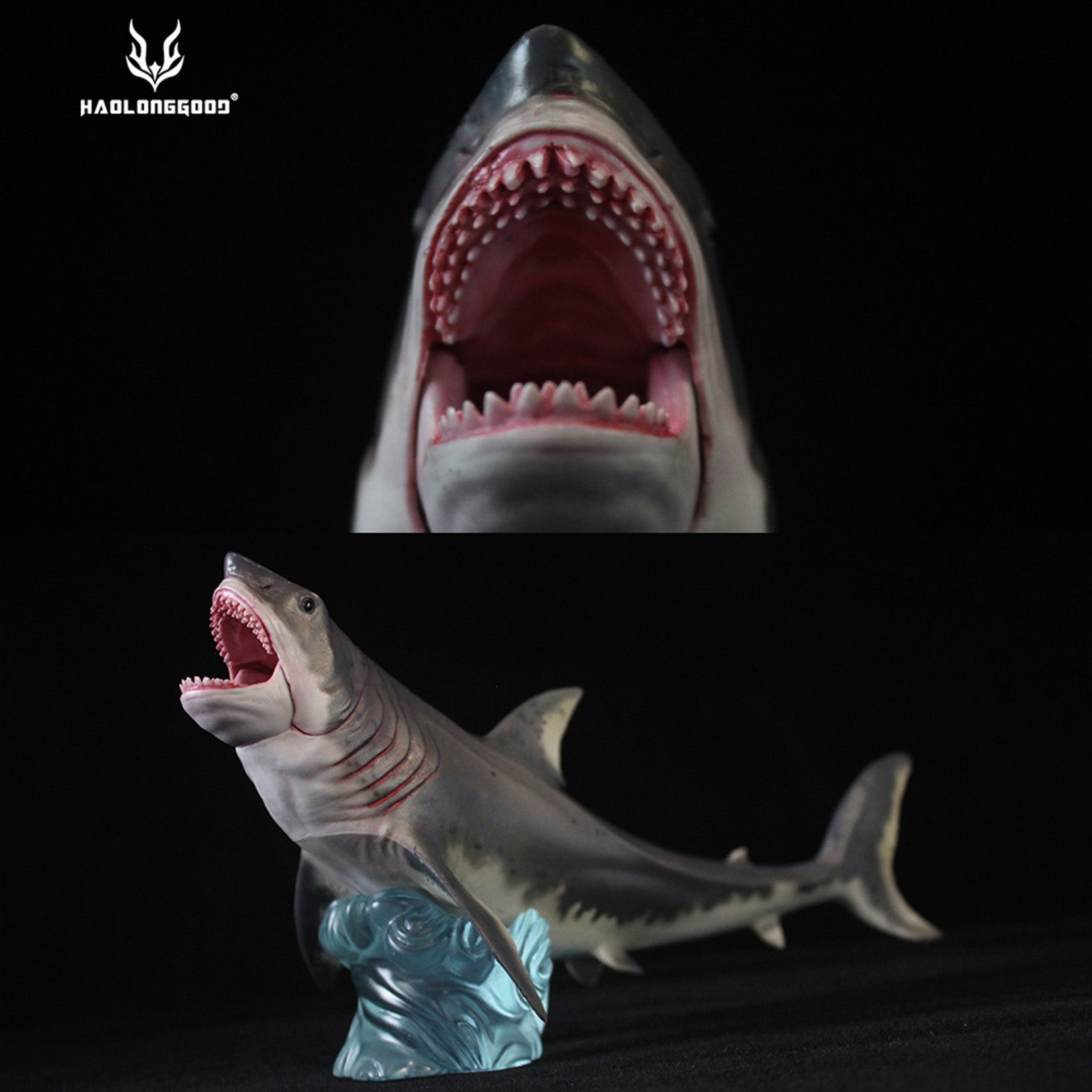 HAOLONGGOOD Megalodon Model