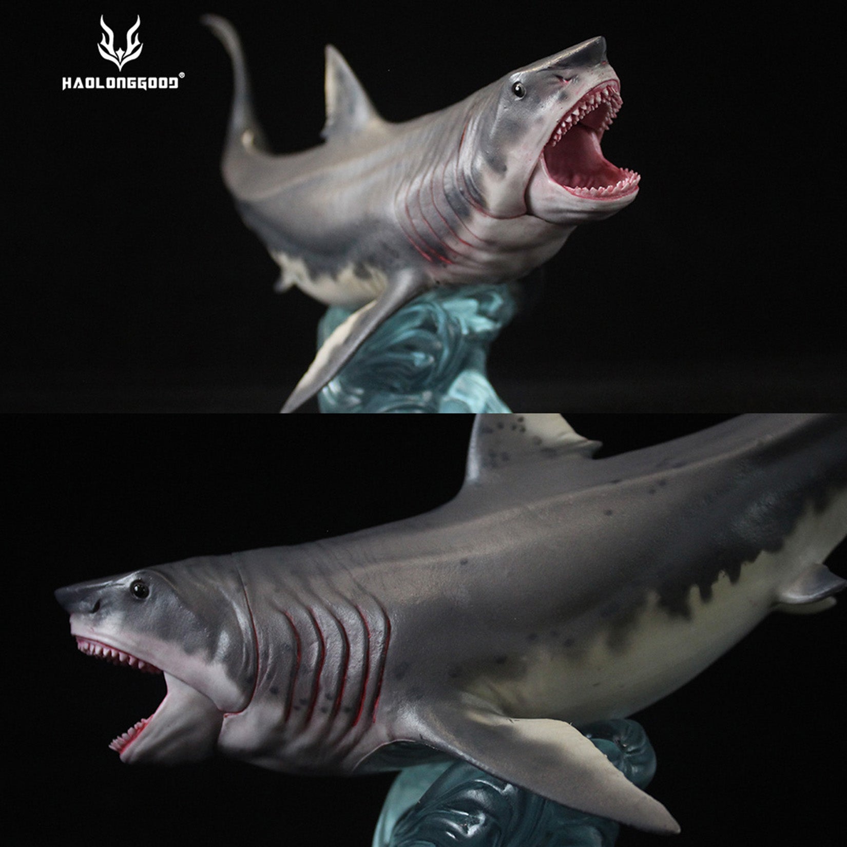 HAOLONGGOOD Megalodon Model