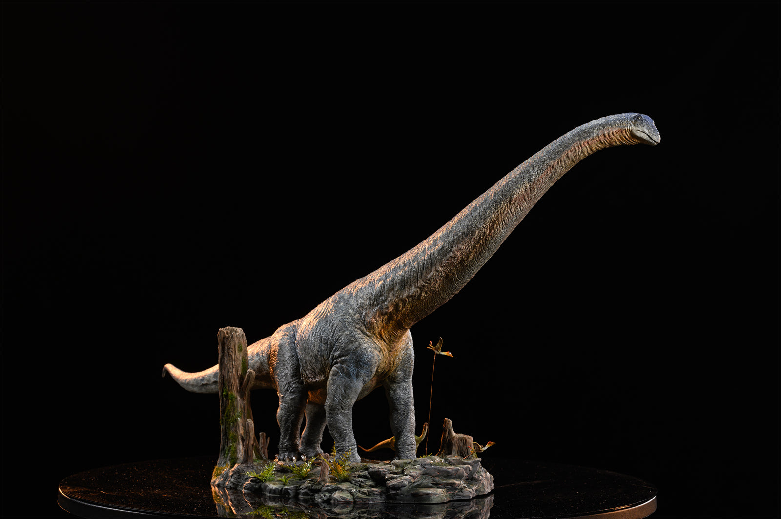 MuSee Studio 1/35 Dreadnoughtus schrani Scene Statue