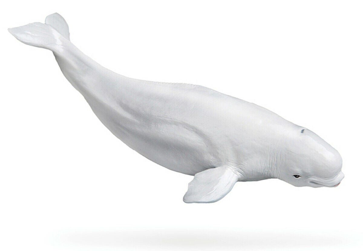PNSO White Whale Figure