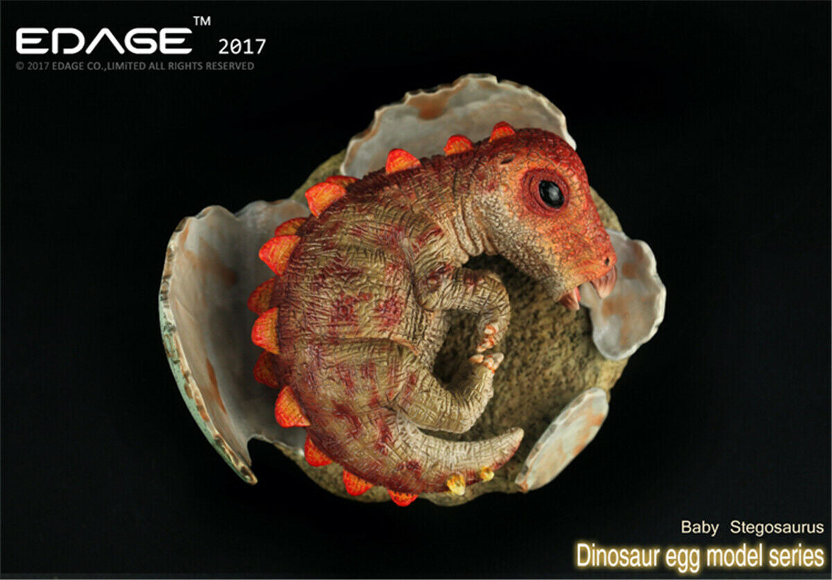 EDAGE Stegosaurus Baby Dinosaur Egg Figure