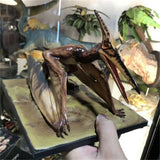 DINO DREAM 1/15 Pteranodon Statue