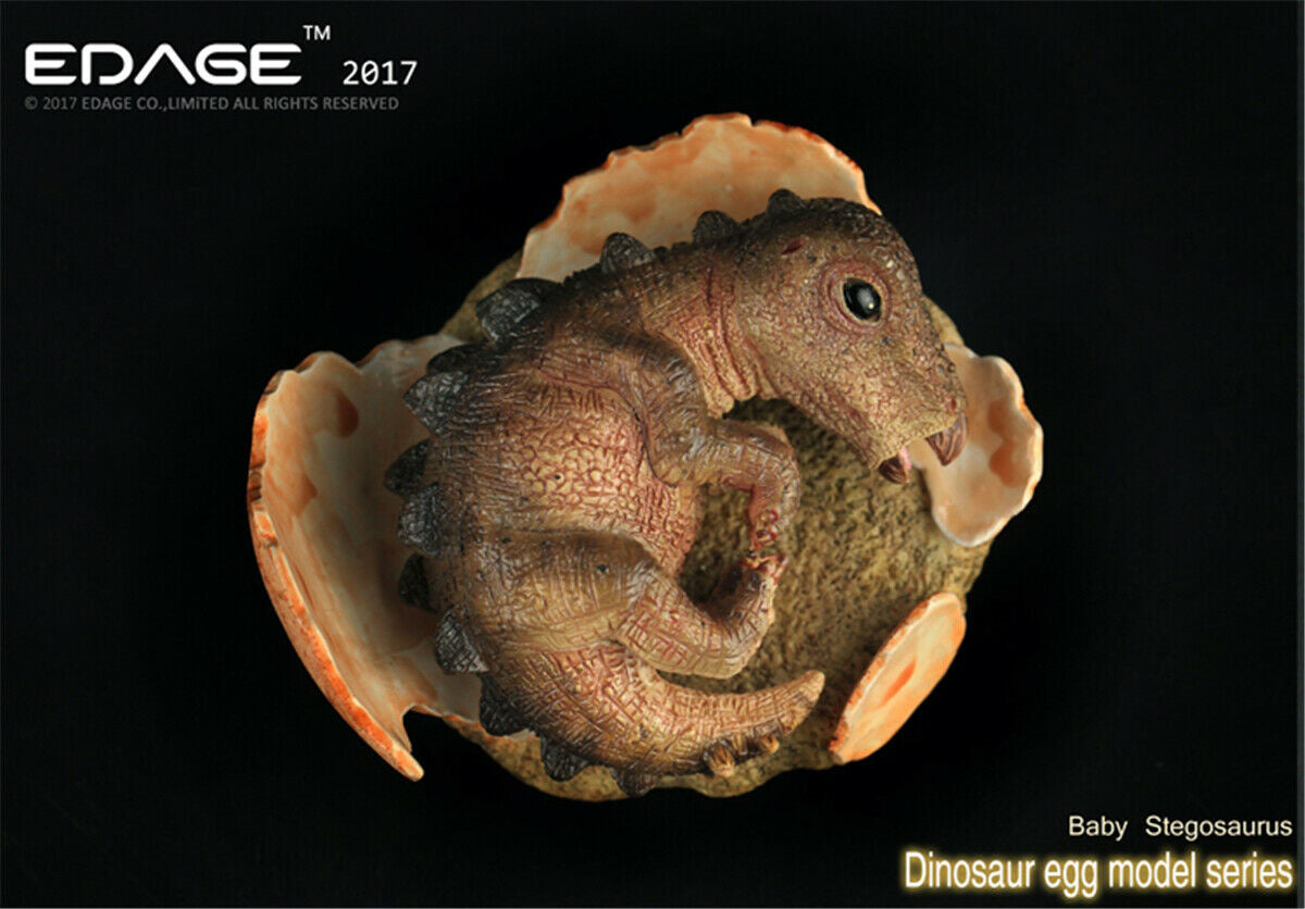 EDAGE Stegosaurus Baby Dinosaur Egg Figure