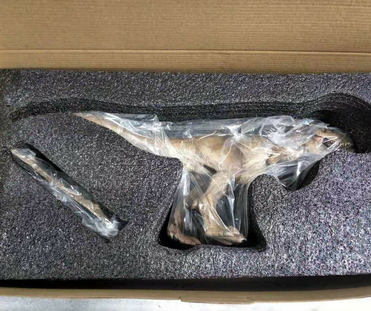 W-Dragon 1/35 Rexy Statue