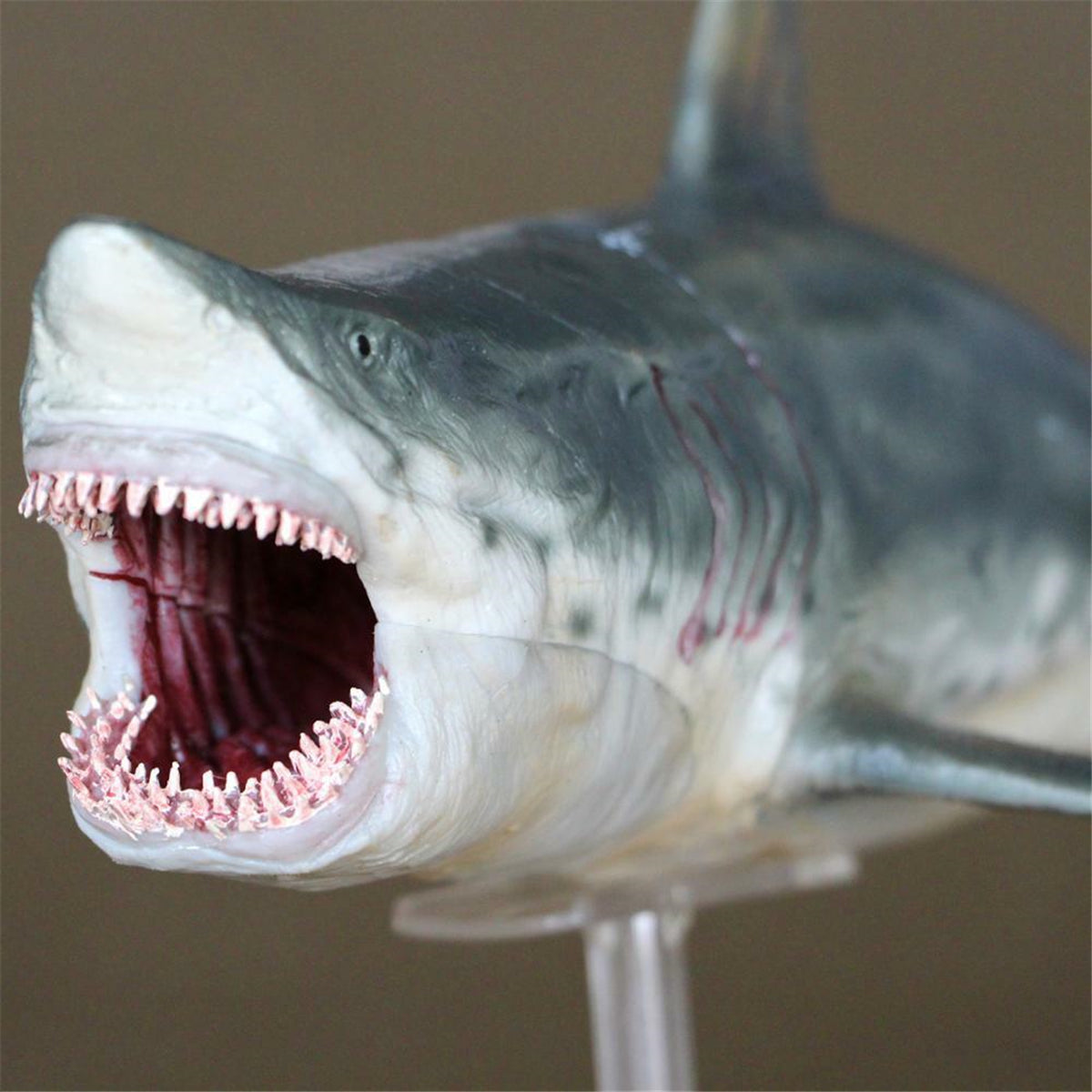 PNSO Patton the Megalodon Figure