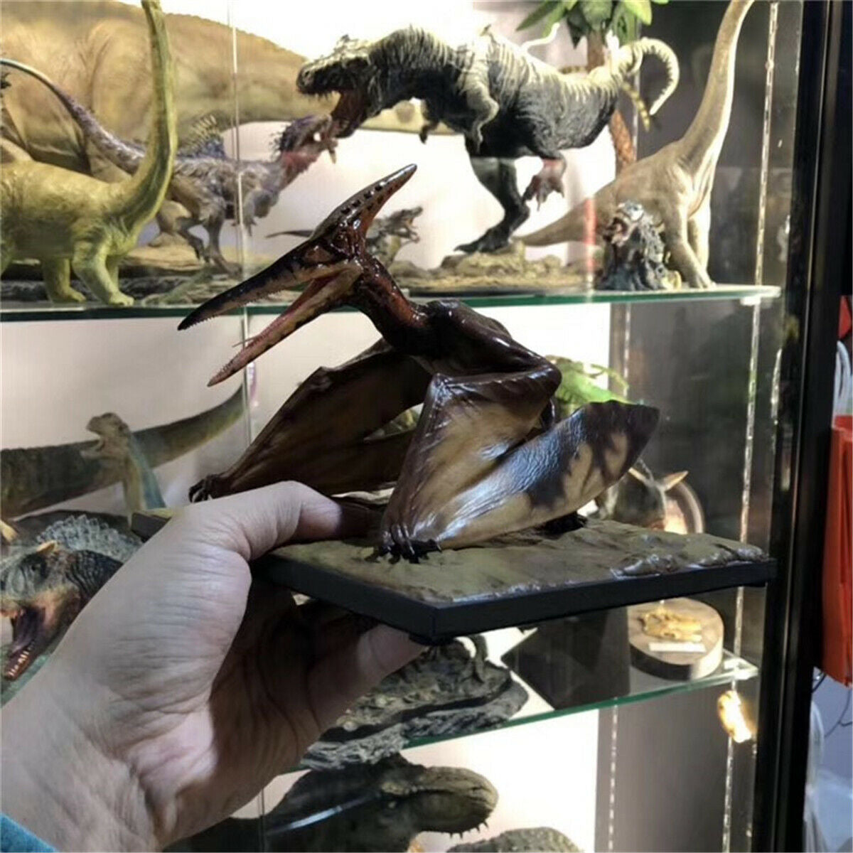 DINO DREAM 1/15 Pteranodon Statue