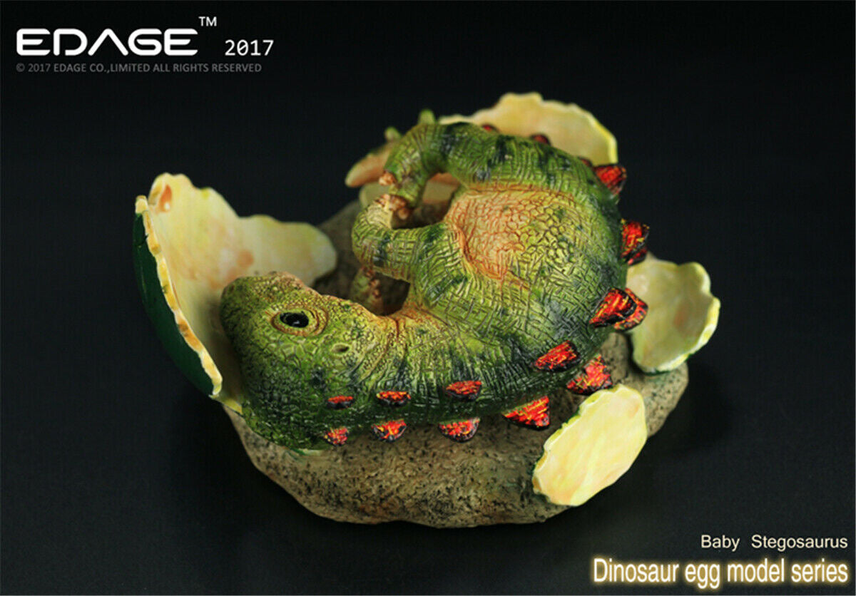 EDAGE Stegosaurus Baby Dinosaur Egg Figure