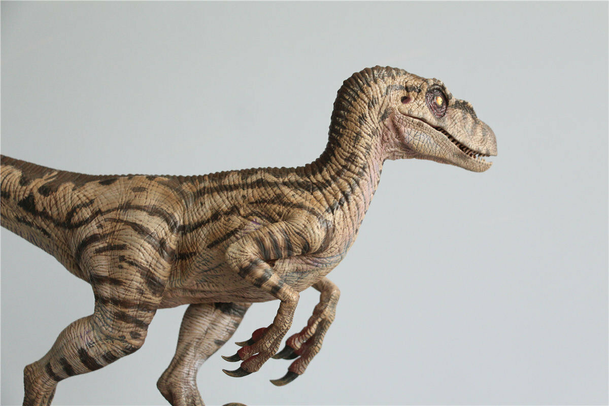 W-Dragon 1/8 Deinonychus Statue