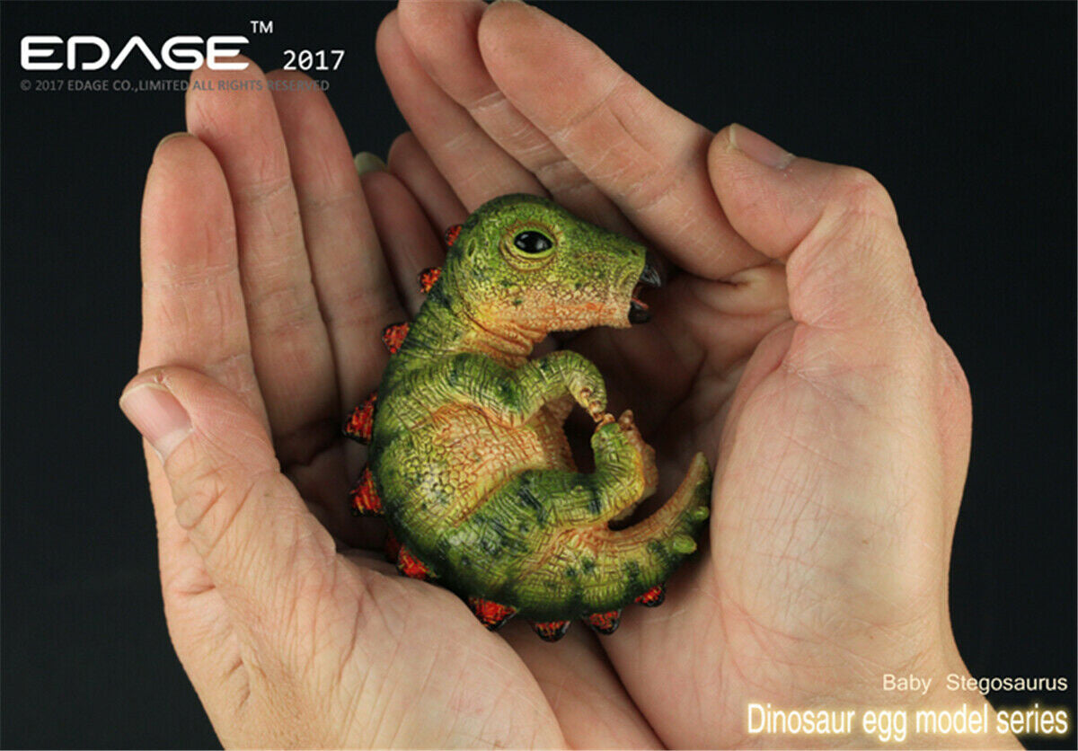 EDAGE Stegosaurus Baby Dinosaur Egg Figure