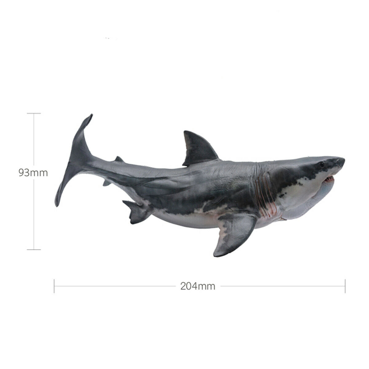PNSO Megalodon Figure