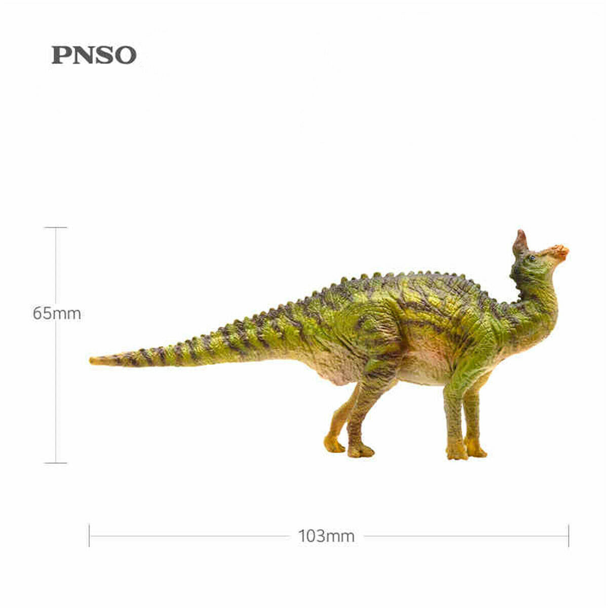 PNSO Tsintaosaurus Model