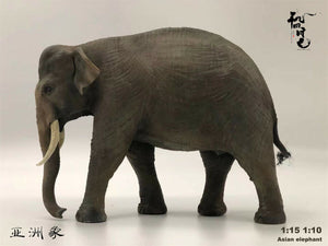 Asian Elephant Scene Model