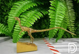 DINO DREAM 1/5 Female Compsognathus Statue