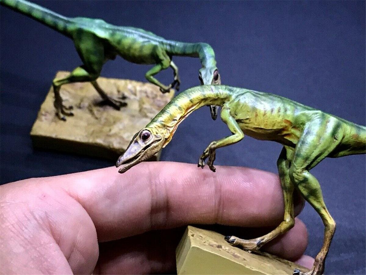 DINO DREAM 1/5 Male Set Compsognathus Statue