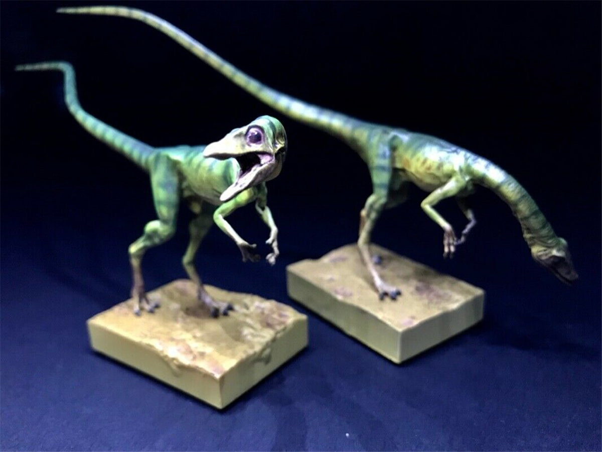 DINO DREAM 1/5 Male Set Compsognathus Statue