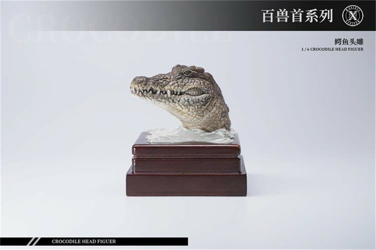 Mostoys 1/6 Crocodile Head Figure