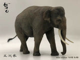 Asian Elephant Scene Model