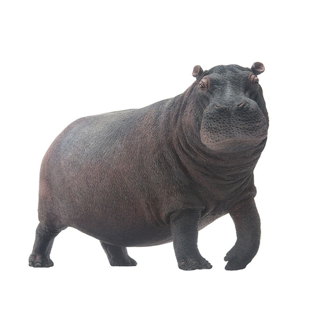 PNSO Hippopotamus Figure – Lana Time Shop