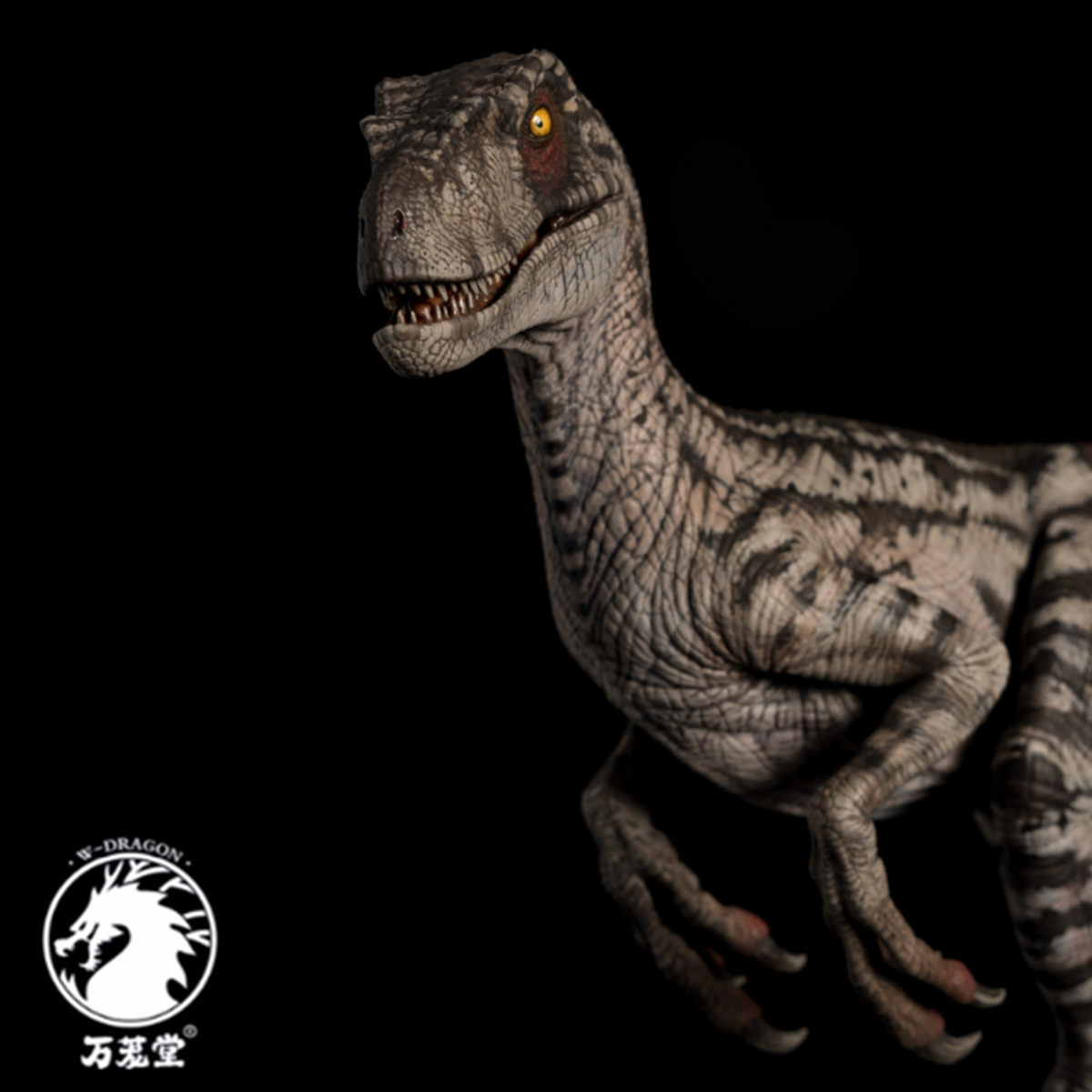 W-Dragon 1/8 Deinonychus Statue