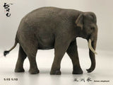 Asian Elephant Scene Model