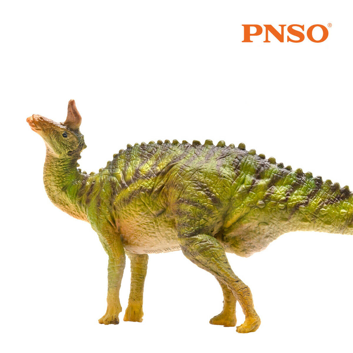 PNSO Tsintaosaurus Model