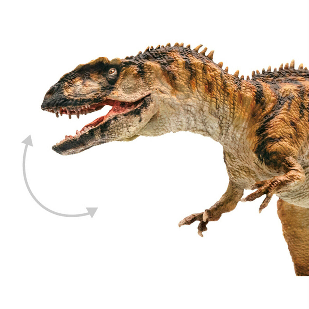 PNSO 1/35 Yangchuanosaurus VS Chungkingosaurus Figure