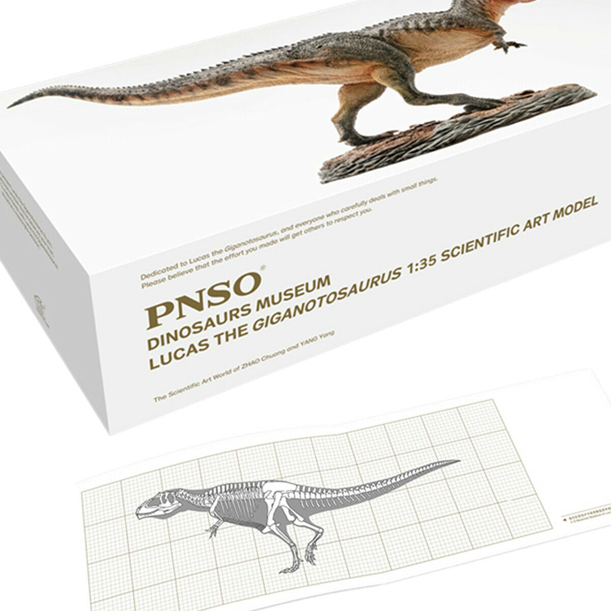 PNSO 1/35 Giganotosaurus Model – Lana Time Shop