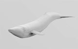 1/35 Blue Whale Statue