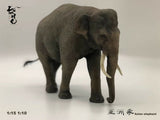 Asian Elephant Scene Model