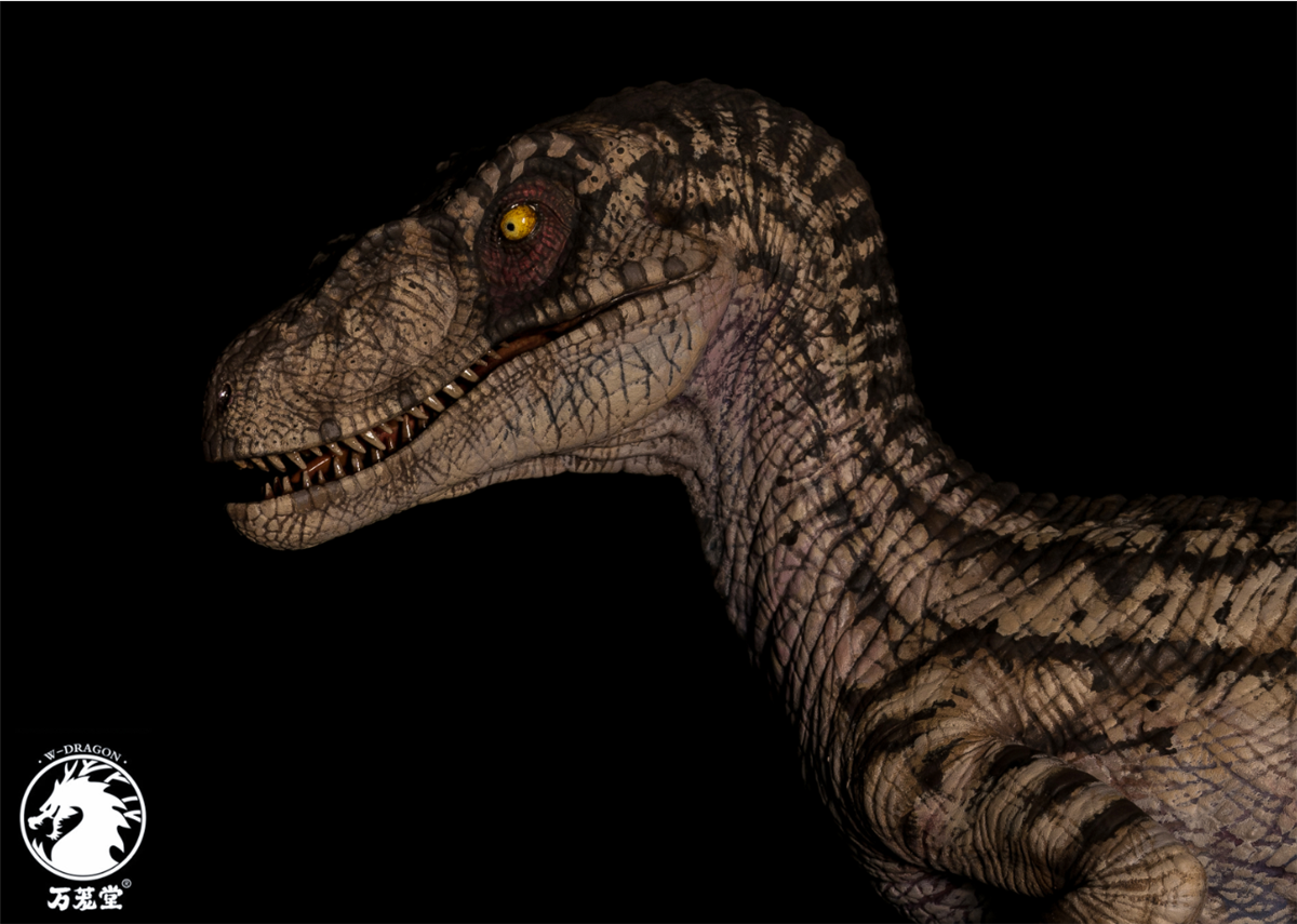 W-Dragon 1/8 Deinonychus Statue