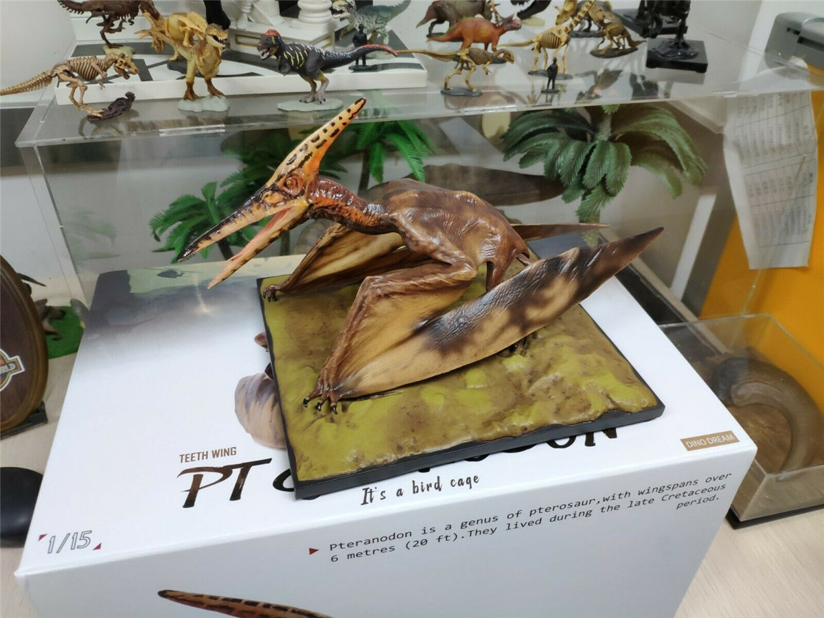 DINO DREAM 1/15 Pteranodon Statue