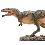 PNSO 1/35 Giganotosaurus Model